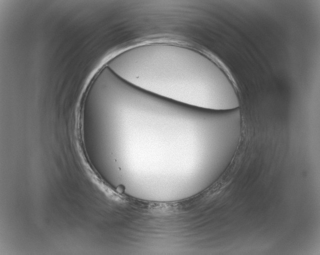 X0000080181099200612081127