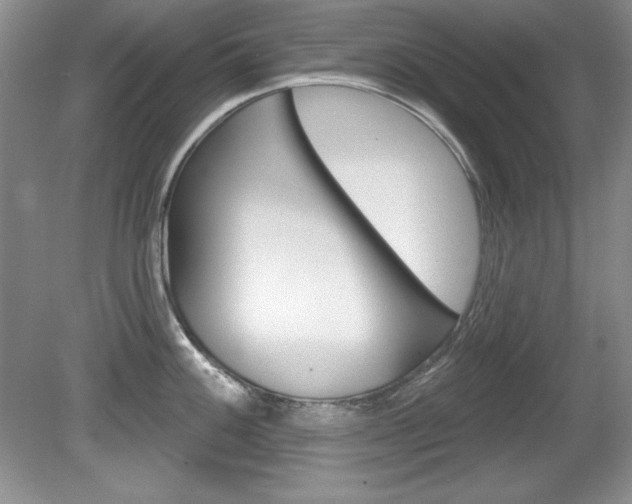 X0000080181100200612081127