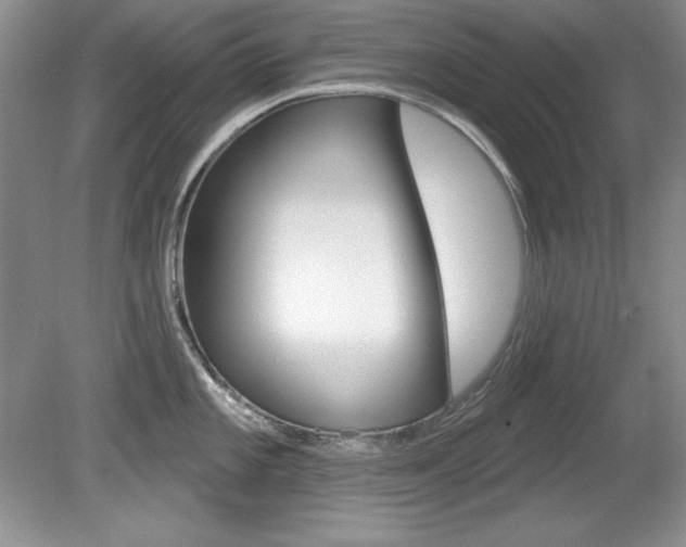 X0000080181101200612081127