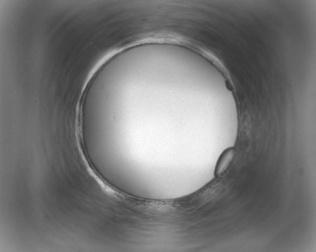 X0000080181103200612081127