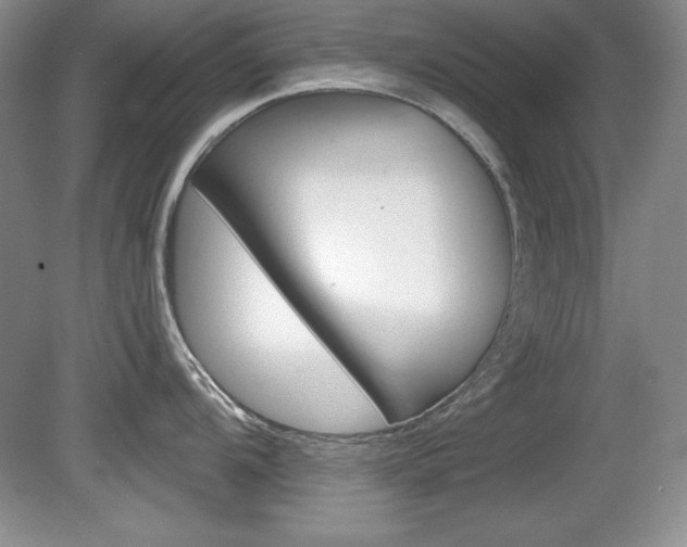 X0000080181104200612081127