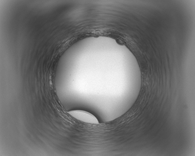 X0000080181106200612081126
