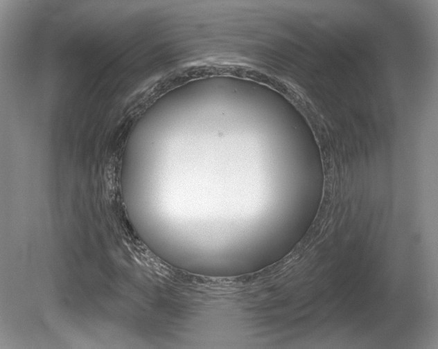 X0000080181110200612081126
