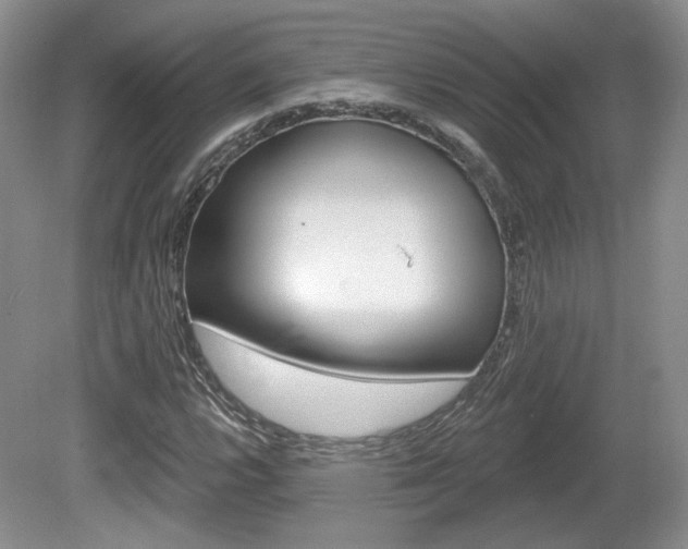 X0000080181112200612081126