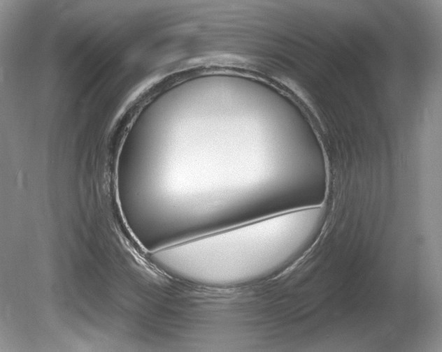 X0000080181115200612081127