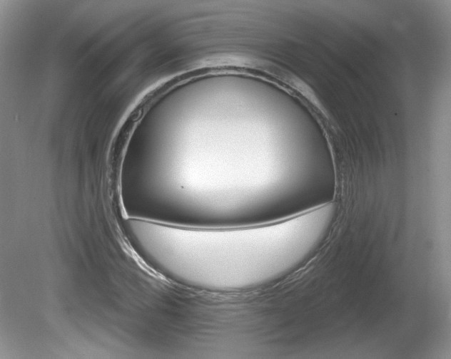 X0000080181116200612081127