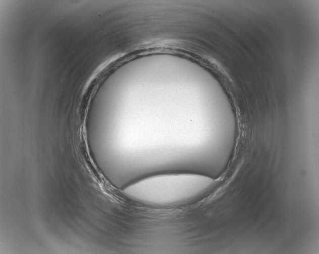 X0000080181117200612081127