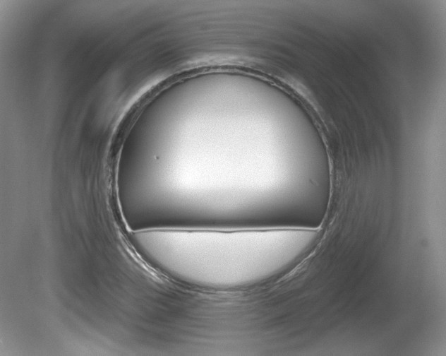 X0000080181119200612081127