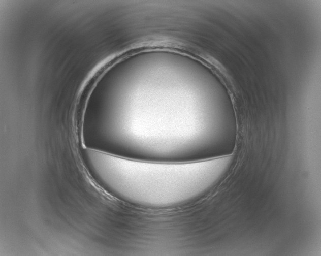 X0000080181120200612081127