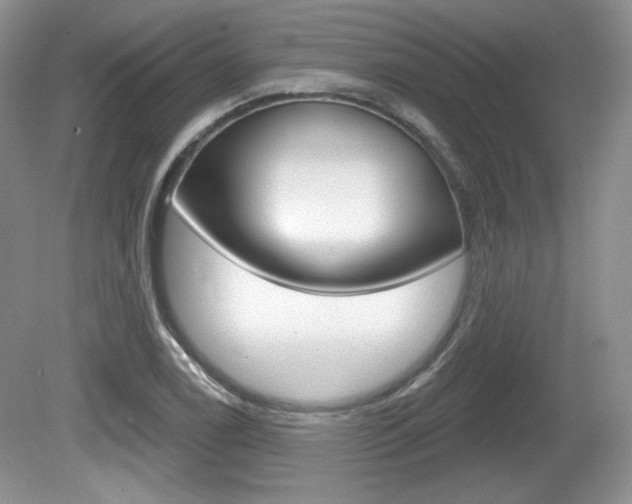 X0000080181122200612081127