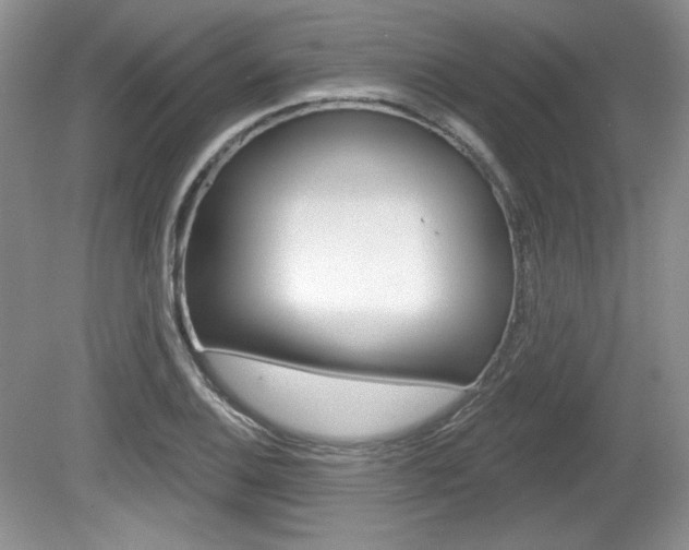 X0000080181124200612081127