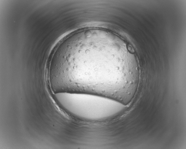 X0000080181125200612081127