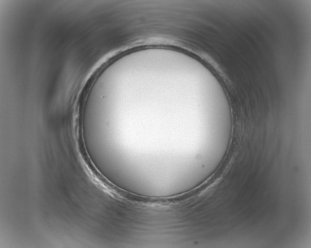 X0000080181126200612081127