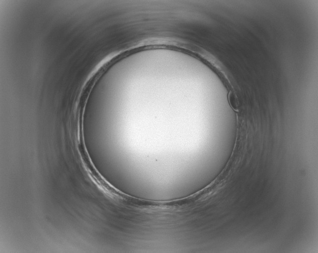 X0000080181127200612081127