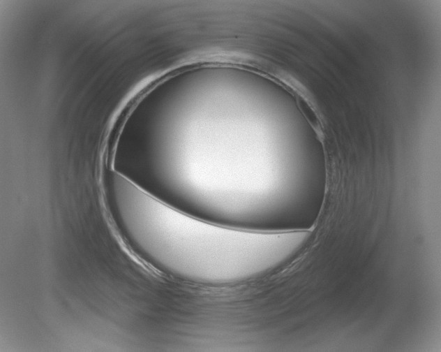 X0000080181128200612081127