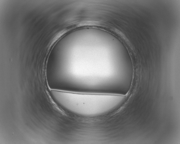 X0000080181129200612081127
