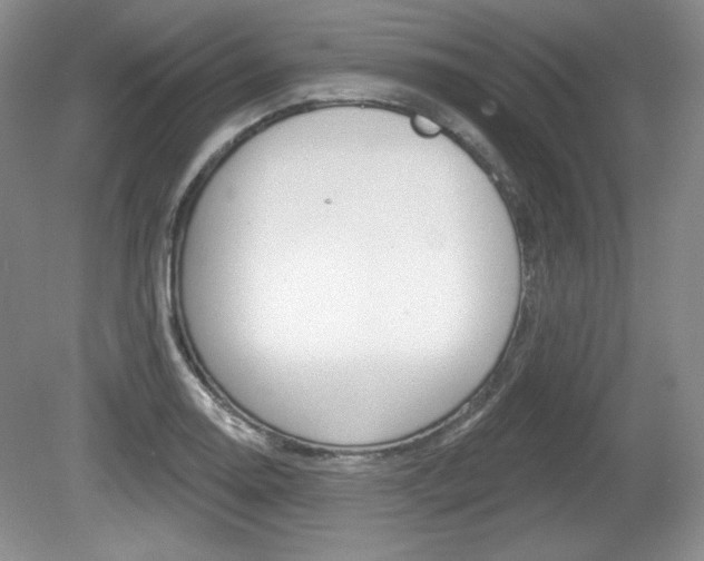 X0000080181130200612081127