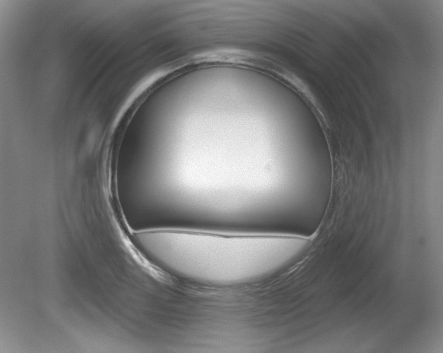 X0000080181131200612081127