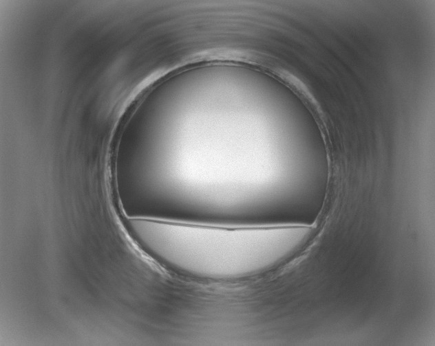 X0000080181133200612081127
