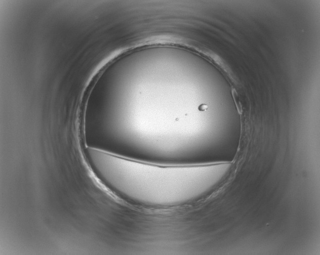 X0000080181134200612081127