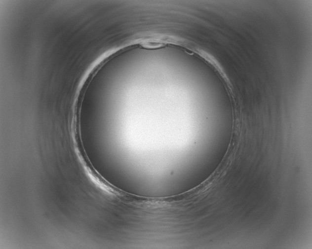 X0000080181136200612081127