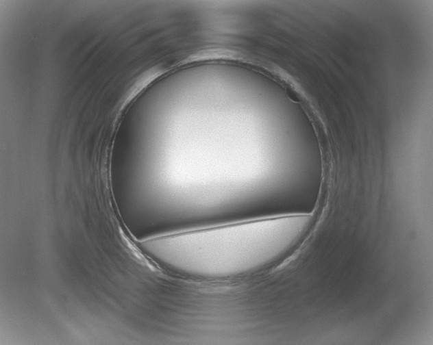 X0000080181137200612081127