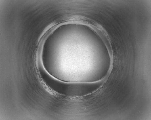 X0000080181138200612081127