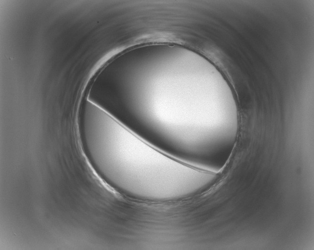 X0000080181141200612081127