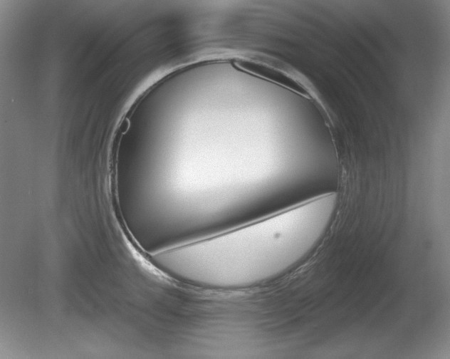 X0000080181143200612081127