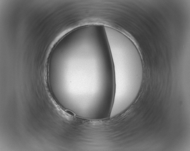 X0000080181144200612081127