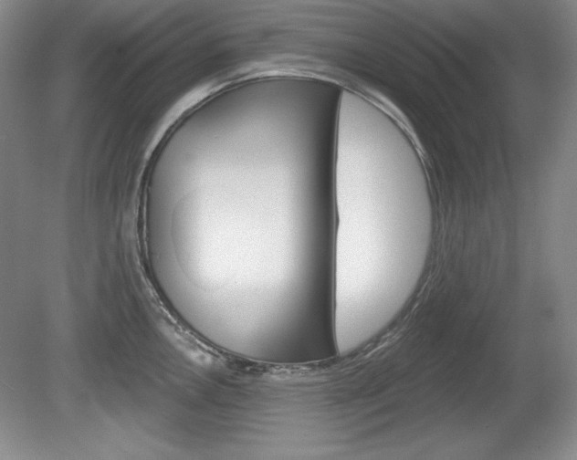 X0000080181146200612081127