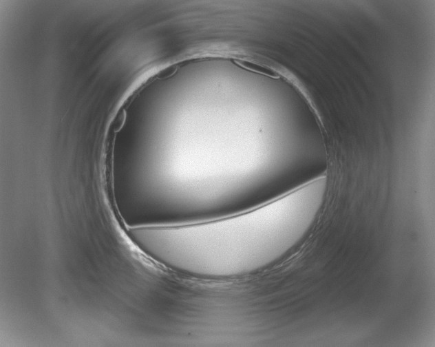 X0000080181147200612081127
