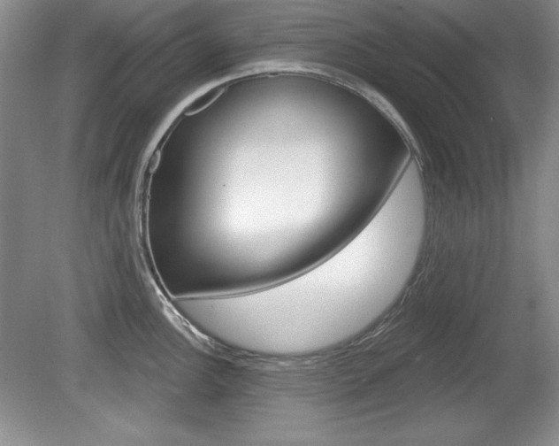 X0000080181148200612081127
