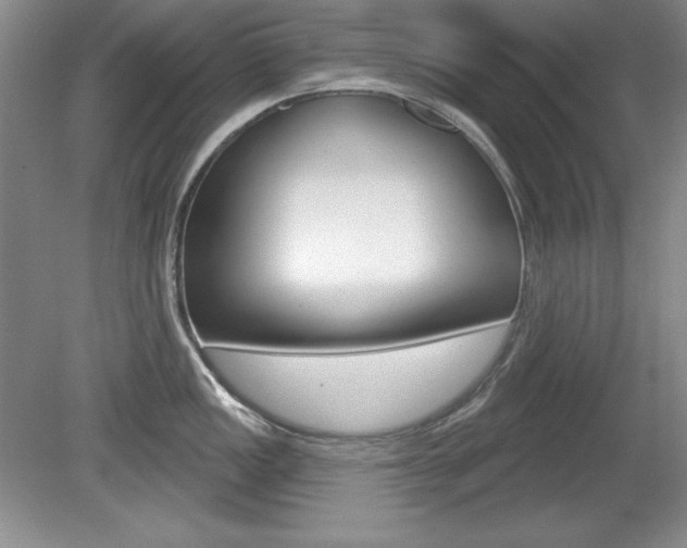 X0000080181149200612081127