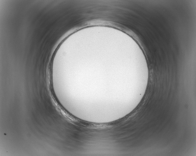 X0000080181150200612081127