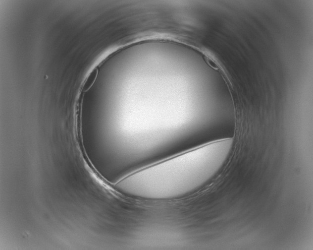 X0000080181151200612081127