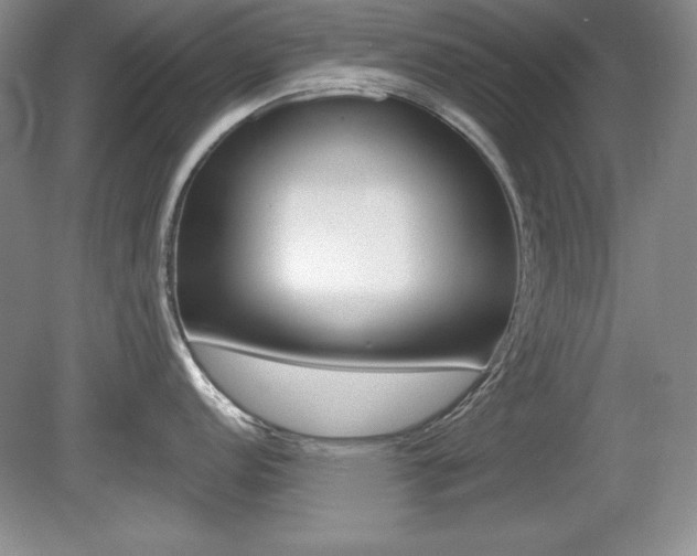 X0000080181152200612081127