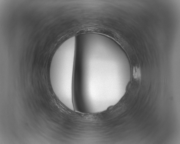 X0000080181155200612081126