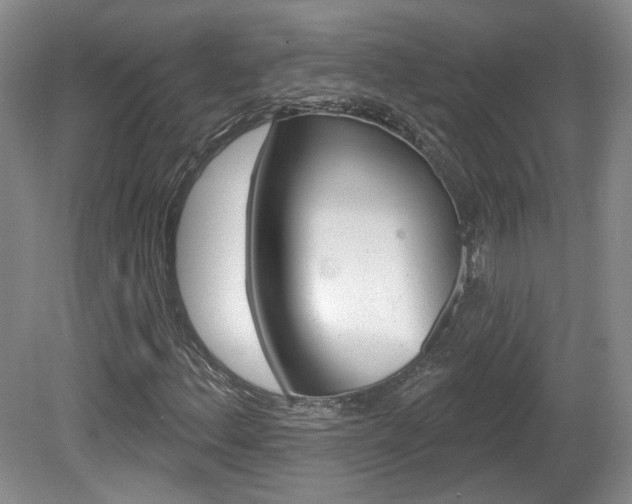 X0000080181156200612081126