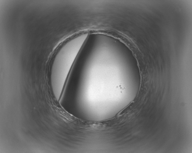 X0000080181160200612081126