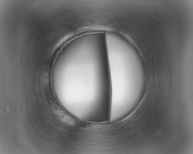 X0000080181163200612081126