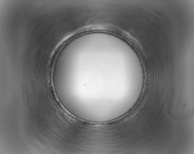X0000080181166200612081126