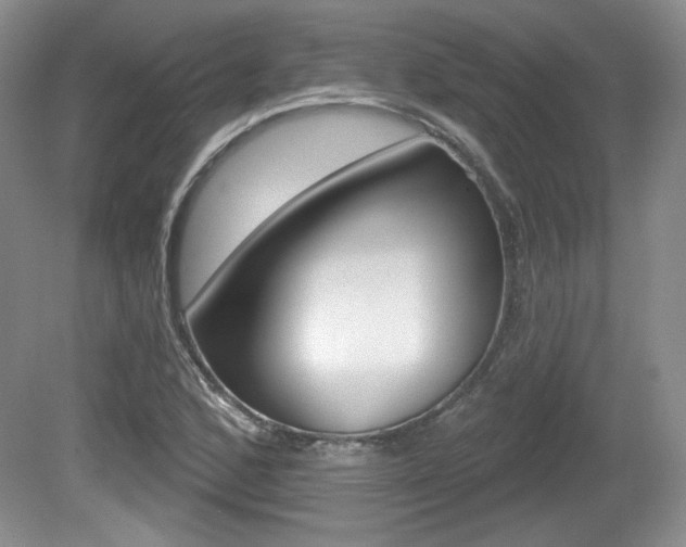 X0000080181168200612081126