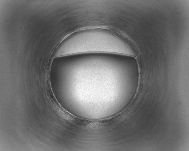 X0000080181169200612081126