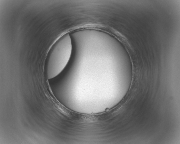 X0000080181170200612081126