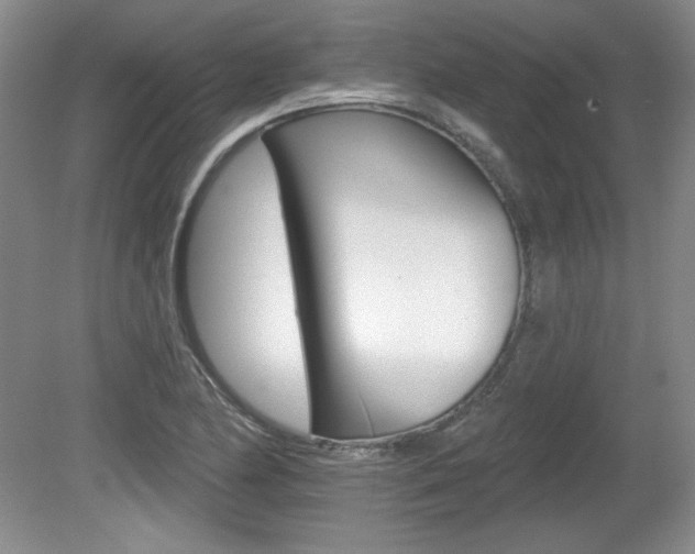 X0000080181174200612081126