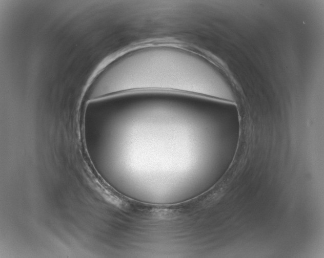 X0000080181176200612081126