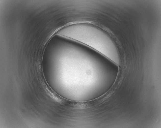 X0000080181177200612081126