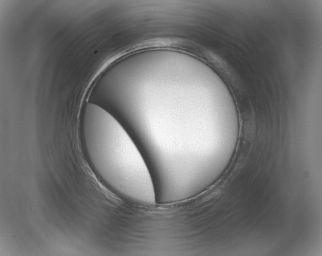 X0000080181178200612081126