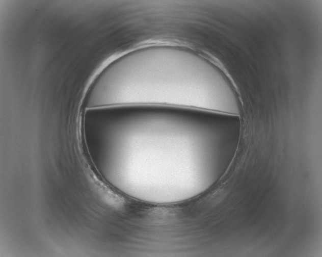 X0000080181179200612081126